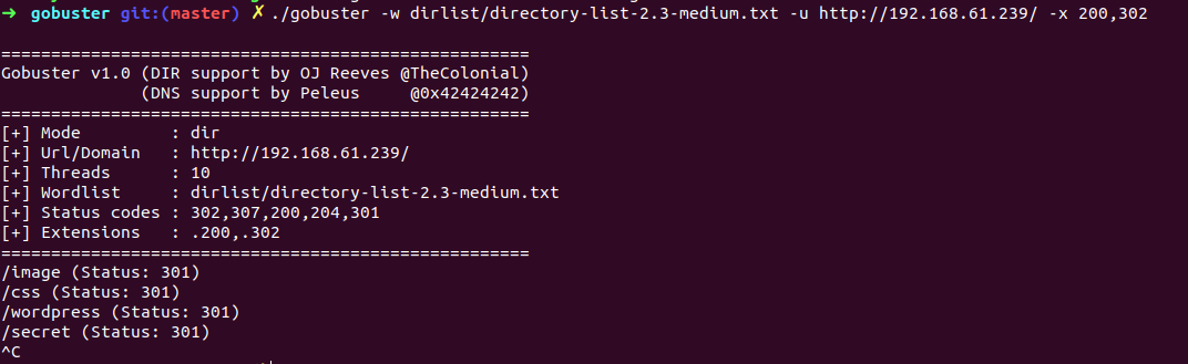 gobuster-scan2.png