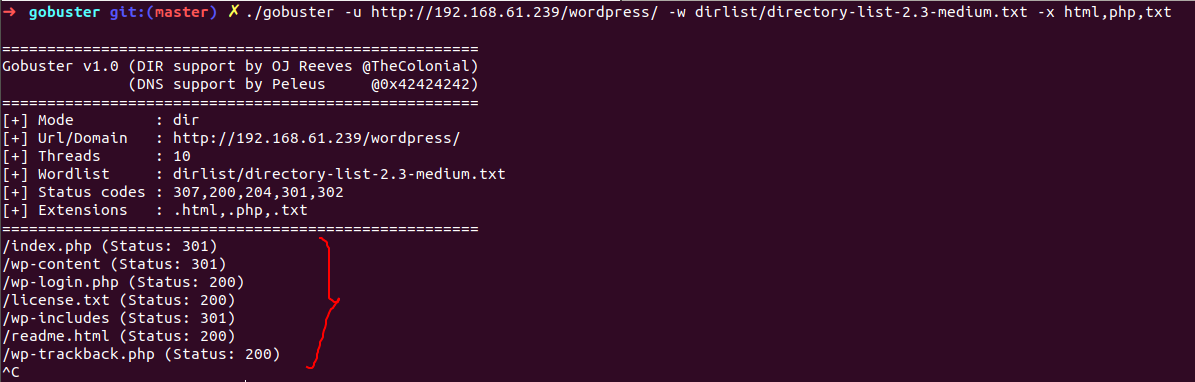 gobuster-scan3